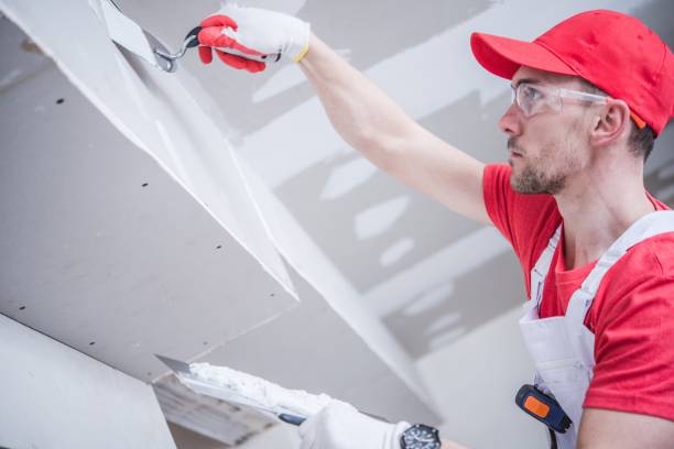 Best Drywall Crack Repair  in Lake Wilderness, VA